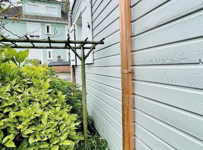 Louis Quartier Des Lilas *