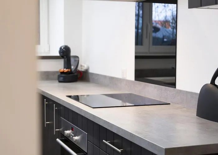 Louis Quartier Des Lilas Vittel